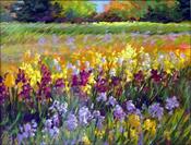 "Sunlit Iris Fields"