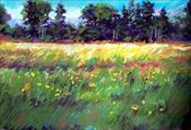 "Meadow Retreat"