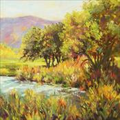 "Colorado Creekside"  SOLD